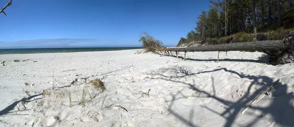 Parc National Slowinski Sur Côte Mer Baltique Près Leba Pologne — Photo