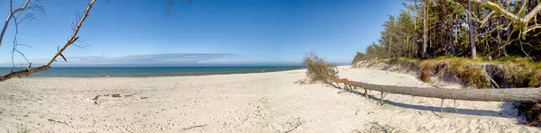 Parc National Slowinski Sur Côte Mer Baltique Près Leba Pologne — Photo