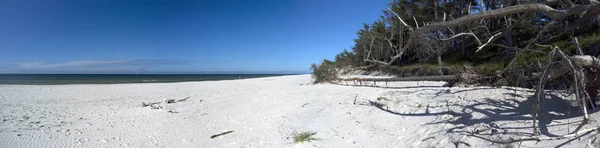 Slowinski National Park Baltic Sea Coast Leba Poland Beautiful Sandy — Stock Photo, Image