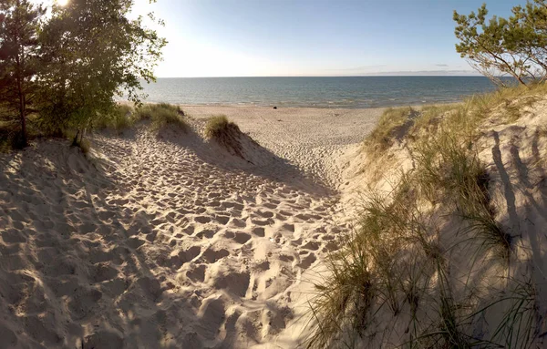 バルト海沿岸のスロインスキー国立公園 ポーランドの近く レバと移動砂丘の間のウォーキングトレイル上の美しい砂浜 砂丘の植生と海岸の風景 — ストック写真
