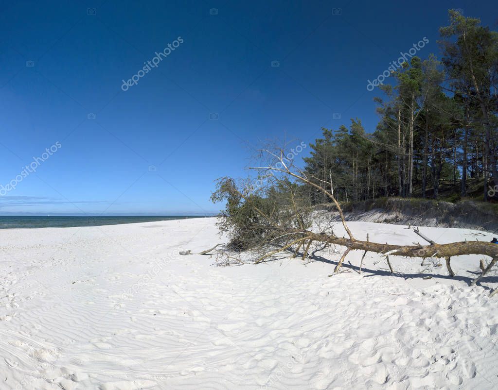 Slowinski National Park on the Baltic Sea coast, near Leba, Poland. Beautiful sandy beach, dune vegetation and coastal landscape on the walking trail between Leba and Moving Dunes.