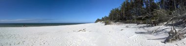 Leba, Polonya - 24 Temmuz 2019: Baltık Denizi kıyısında, Polonya'nın Leba kenti yakınlarındaki Slowinski Ulusal Parkı. Leba ve Hareketli Tepeler arasındaki yürüyüş parkurunda güzel kumlu plajlar ve sahil manzarası.