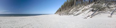 Leba, Polonya - 24 Temmuz 2019: Baltık Denizi kıyısında, Polonya'nın Leba kenti yakınlarındaki Slowinski Ulusal Parkı. Leba ve Hareketli Tepeler arasındaki yürüyüş parkurunda güzel kumlu plajlar ve sahil manzarası.
