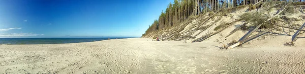 ポーランド 2019年7月24日 バルト海沿岸のスロインスキー国立公園 ポーランドの近く レバと移動砂丘の間のウォーキングトレイル上の美しい砂浜と海岸の風景 — ストック写真