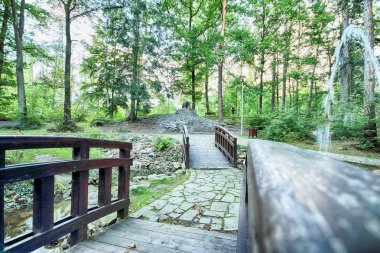 Polanica Zdroj, Polonya - 26 Ağustos 2019: Polanica Zdroj'un merkezindeki spa parkı, Aşağı Silezya, Güneybatı Polonya. Ayı Anıtı.