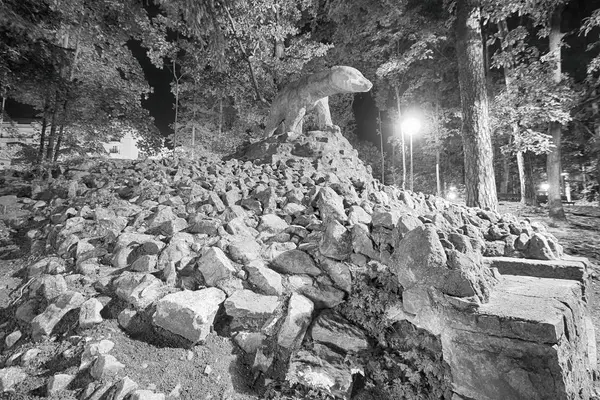 波兰波兰波兰 2019年8月26日 波兰西南部下西里西亚的波兰兹德罗伊市中心的温泉公园 熊纪念碑夜景 — 图库照片
