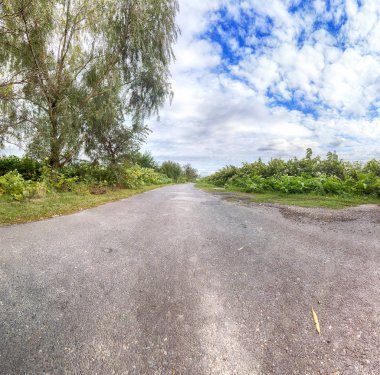 Wroclaw, Polonya yakınlarındaki Eylül son günlerinde, renkli alanlar arasında boş, yerel yol.