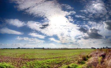 Wroclaw, Polonya yakınlarındaki Eylül ayı sonunda güzel, renkli alanlar.