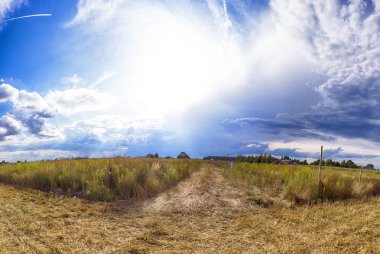 Wroclaw, Polonya yakınlarındaki Eylül ayı sonunda güzel, renkli alanlar.