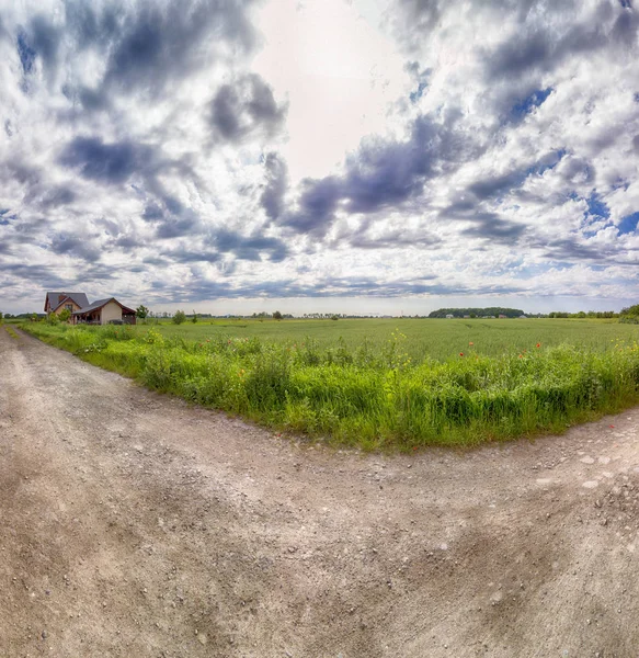 Empty Local Road Colorful Fields Last Days May Wroclaw Poland — Stock Photo, Image