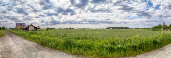 五月最后几天 波兰弗罗茨瓦夫附近的空旷的当地道路 在五颜六色的田野之间 — 图库照片