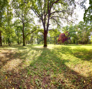Wroclaw, Polonya'daki Skowroni Parkı. Şehrin güney kesiminde bulunan.