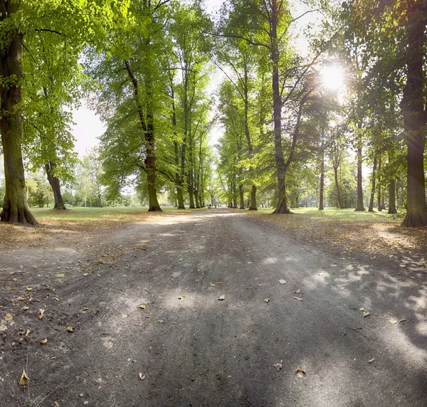 Skowroni Park Wroclaw Poland Located Southern Part City — Stock Photo, Image