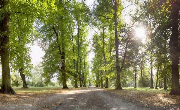 Skowroni Park Wroclaw Poland Located Southern Part City — Stock Photo, Image