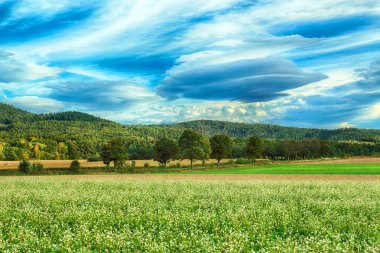 Merceksel bulut, nadir görülen bir atmosferik fenomen. Polonya, Wroclaw yakınlarındaki Slezanski Peyzaj Parkı. 2019 Eylül 'ünün son günlerinde dağlarda güneşli bir gün..