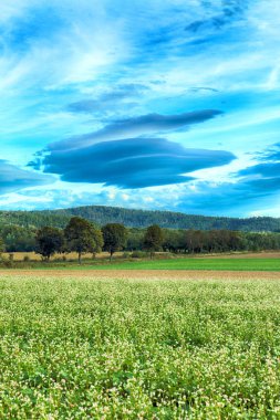 Merceksel bulut, nadir görülen bir atmosferik fenomen. Polonya, Wroclaw yakınlarındaki Slezanski Peyzaj Parkı. 2019 Eylül 'ünün son günlerinde dağlarda güneşli bir gün..