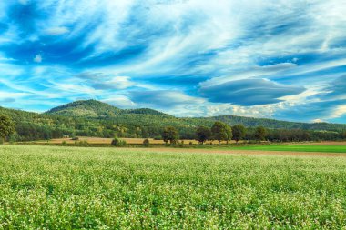 Merceksel bulut, nadir görülen bir atmosferik fenomen. Polonya, Wroclaw yakınlarındaki Slezanski Peyzaj Parkı. 2019 Eylül 'ünün son günlerinde dağlarda güneşli bir gün..