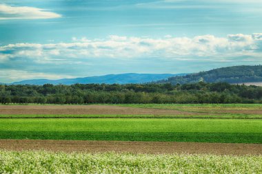 Polonya, Wroclaw yakınlarındaki Slezanski Peyzaj Parkı. Eylül 'ün son günlerinde dağlarda güneşli bir gün.