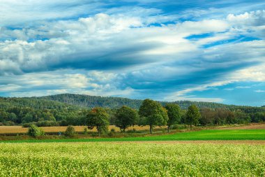 Polonya, Wroclaw yakınlarındaki Slezanski Peyzaj Parkı. Eylül 'ün son günlerinde dağlarda güneşli bir gün.