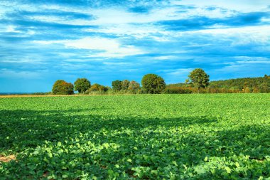 Polonya, Wroclaw yakınlarındaki Slezanski Peyzaj Parkı. Eylül 'ün son günlerinde dağlarda güneşli bir gün.