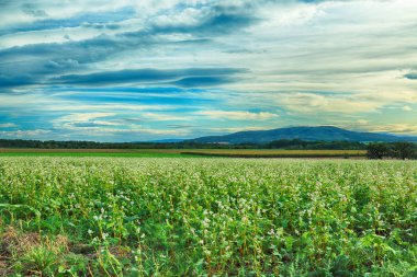 Polonya, Wroclaw yakınlarındaki Slezanski Peyzaj Parkı. Eylül 'ün son günlerinde dağlarda güneşli bir gün.