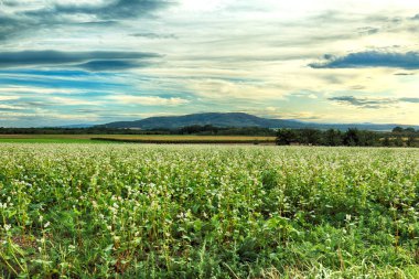 Polonya, Wroclaw yakınlarındaki Slezanski Peyzaj Parkı. Eylül 'ün son günlerinde dağlarda güneşli bir gün.