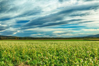 Polonya, Wroclaw yakınlarındaki Slezanski Peyzaj Parkı. Eylül 'ün son günlerinde dağlarda güneşli bir gün.