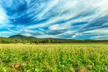 Polonya, Wroclaw yakınlarındaki Slezanski Peyzaj Parkı. Eylül 'ün son günlerinde dağlarda güneşli bir gün.