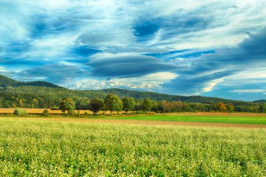 Polonya, Wroclaw yakınlarındaki Slezanski Peyzaj Parkı. Eylül 'ün son günlerinde dağlarda güneşli bir gün.