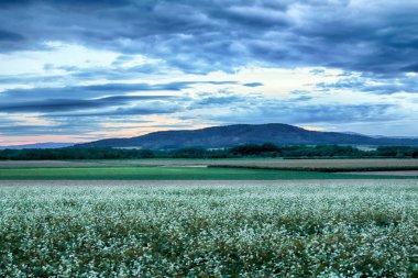 Polonya, Wroclaw yakınlarındaki Slezanski Peyzaj Parkı. Eylül 'ün son günlerinde dağlarda güneşli bir gün.