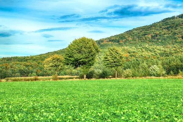 Slezanski Landscape Park Nära Wroclaw Polen Solig Dag Bergen Sista — Stockfoto