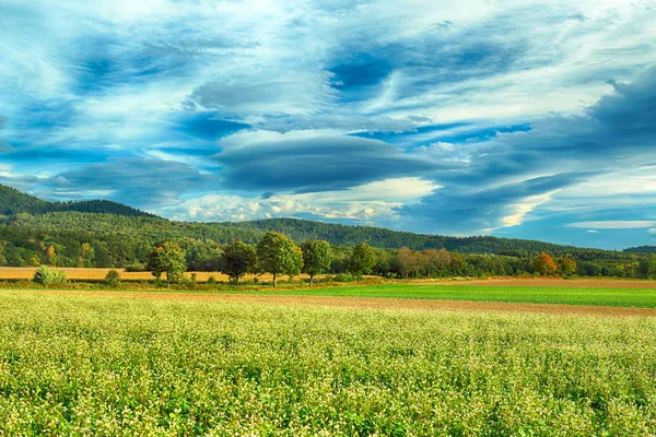 Slezanski Landscape Park Nära Wroclaw Polen Solig Dag Bergen Sista — Stockfoto