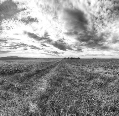 Polonya, Wroclaw yakınlarındaki Slezanski Peyzaj Parkı. Eylül 'ün son günlerinde dağlarda güzel bir gün.