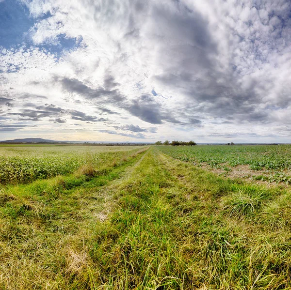 Polonya, Wroclaw yakınlarındaki Slezanski Peyzaj Parkı. Eylül 'ün son günlerinde dağlarda güzel bir gün.