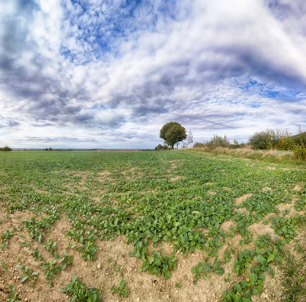 Slezanski Landscape Park Nära Wroclaw Polen Vacker Dag Bergen Sista — Stockfoto