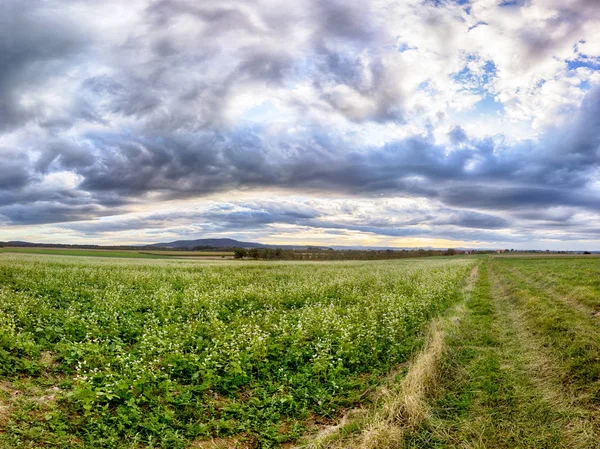 Polonya, Wroclaw yakınlarındaki Slezanski Peyzaj Parkı. Eylül 'ün son günlerinde dağlarda güzel bir gün.