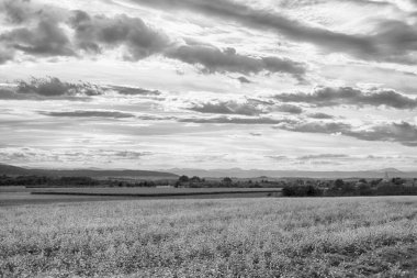 Polonya, Wroclaw yakınlarındaki Slezanski Peyzaj Parkı. Eylül ayının son günlerinde Sudetes dağlarının panorama manzarası.
