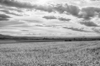 Polonya, Wroclaw yakınlarındaki Slezanski Peyzaj Parkı. Eylül ayının son günlerinde Sudetes dağlarının panorama manzarası.