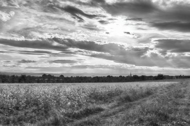 Polonya, Wroclaw yakınlarındaki Slezanski Peyzaj Parkı. Eylül ayının son günlerinde Sudetes dağlarının panorama manzarası.