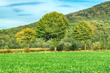 Polonya, Wroclaw yakınlarındaki Slezanski Peyzaj Parkı. Eylül 'ün son günlerinde dağlarda güzel bir gün.