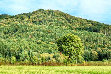 Polonya, Wroclaw yakınlarındaki Slezanski Peyzaj Parkı. Eylül 'ün son günlerinde dağlarda güzel bir gün.