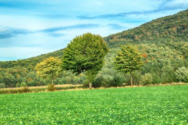 Polonya, Wroclaw yakınlarındaki Slezanski Peyzaj Parkı. Eylül 'ün son günlerinde dağlarda güzel bir gün.