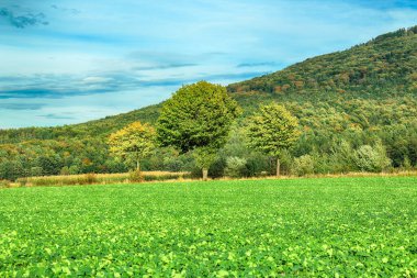 Polonya, Wroclaw yakınlarındaki Slezanski Peyzaj Parkı. Eylül 'ün son günlerinde dağlarda güzel bir gün.