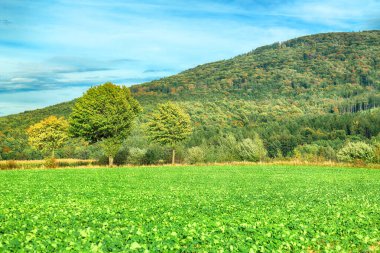 Polonya, Wroclaw yakınlarındaki Slezanski Peyzaj Parkı. Eylül 'ün son günlerinde dağlarda güzel bir gün.