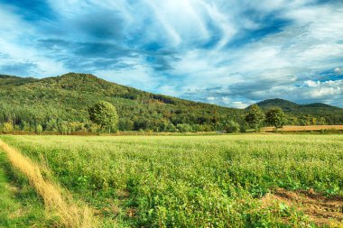 Polonya, Wroclaw yakınlarındaki Slezanski Peyzaj Parkı. Eylül 'ün son günlerinde dağlarda güzel bir gün.