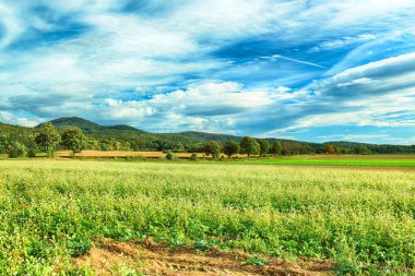 Polonya, Wroclaw yakınlarındaki Slezanski Peyzaj Parkı. Eylül 'ün son günlerinde dağlarda güzel bir gün.