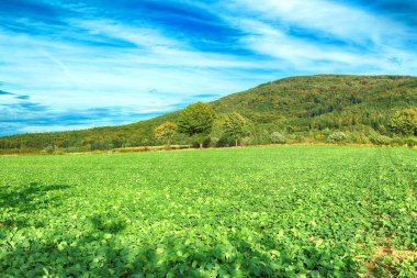 Polonya, Wroclaw yakınlarındaki Slezanski Peyzaj Parkı. Eylül 'ün son günlerinde dağlarda güzel bir gün.