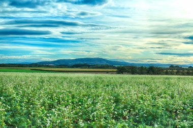 Polonya, Wroclaw yakınlarındaki Slezanski Peyzaj Parkı. Eylül 'ün son günlerinde dağlarda güzel bir gün.