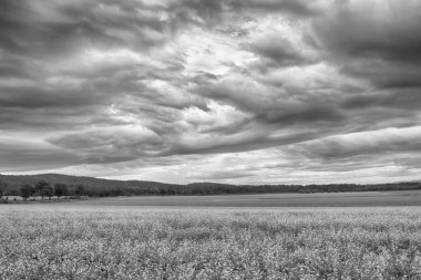 Polonya, Wroclaw yakınlarındaki Slezanski Peyzaj Parkı. Eylül 'ün son günlerinde dağlarda güzel bir gün.