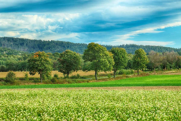 Slezanski Landscape Park Nära Wroclaw Polen Vacker Dag Bergen Sista — Stockfoto